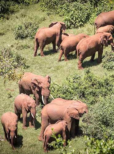 kenya 1 (1)