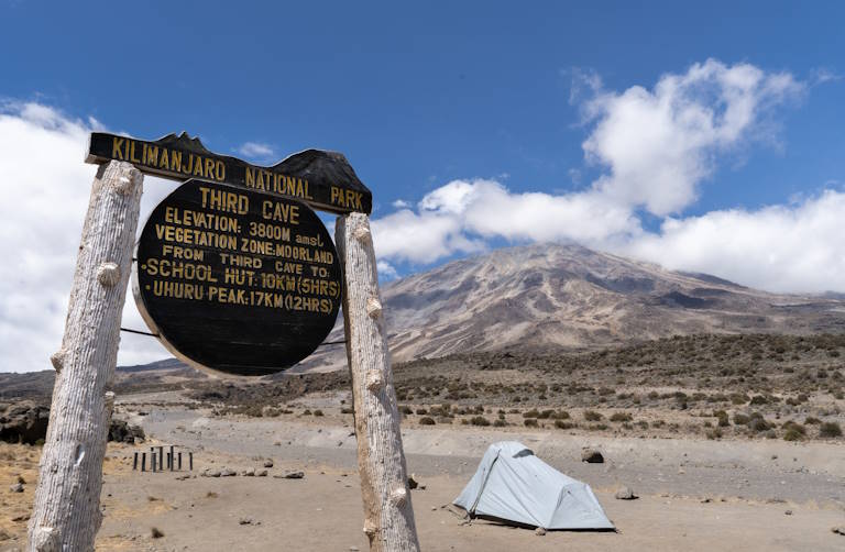 kilimanjaro
